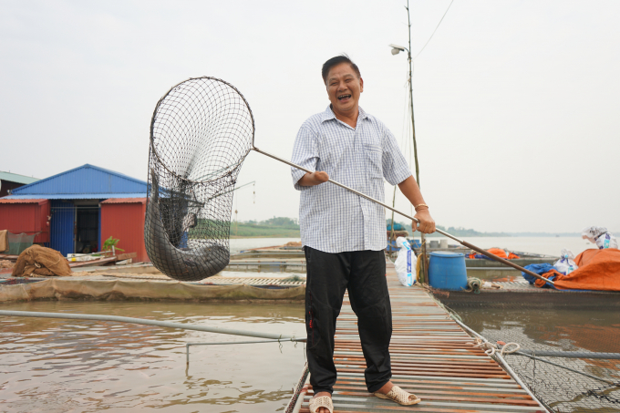 Cựu chiến binh Nguyễn Quang Tiếp khoe lồng cá lăng đến kỳ thu hoạch.