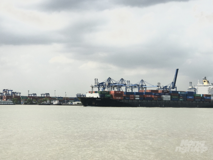 Giá cước vận tải biển tăng vọt vì thiếu tàu và container rỗng. Ảnh: Thanh Sơn.