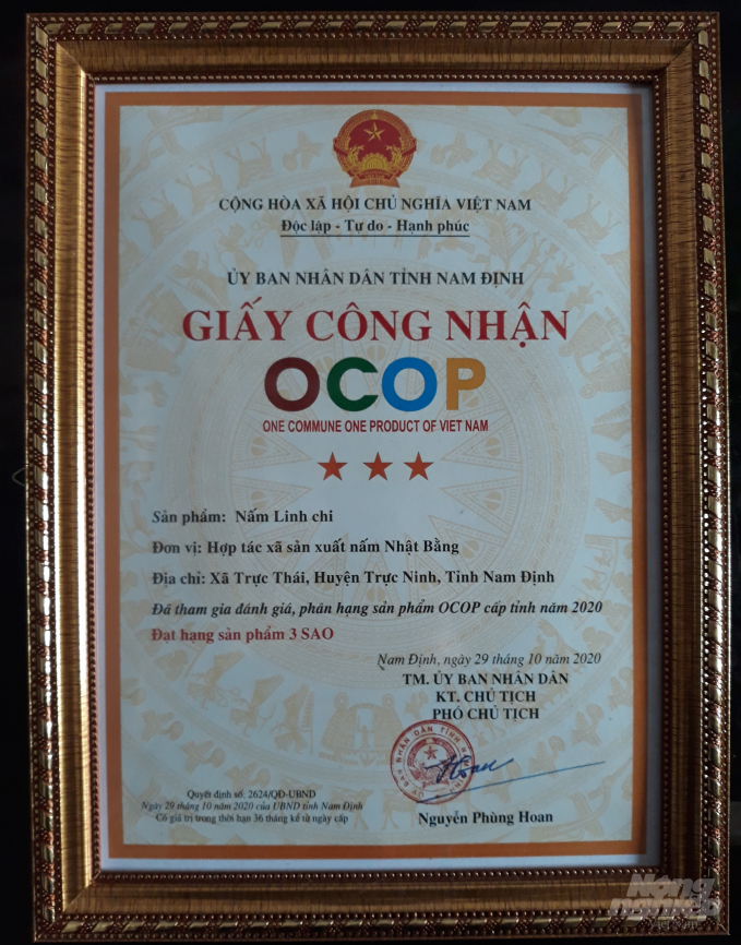Tháng 10/2020, nấm linh chi của HTX đã được UBND tỉnh Nam Định công nhận là sản phẩm OCOP 3 sao. Ảnh: Mai Chiến.