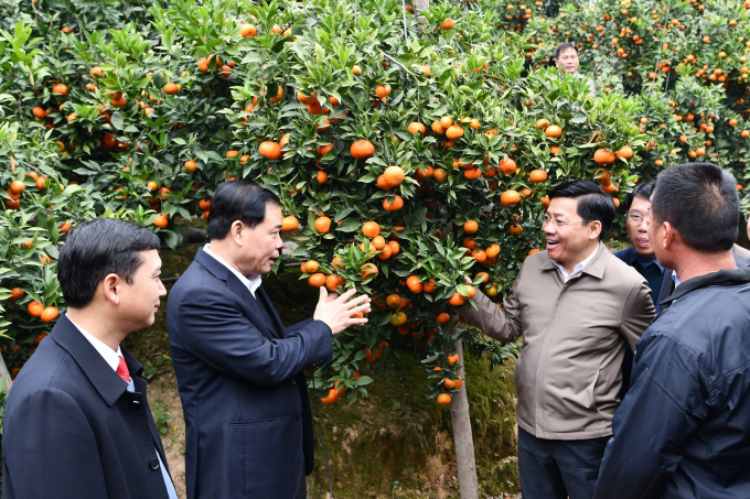 Bộ trưởng Nguyễn Xuân Cường (thứ 2 từ trái sang) cùng lãnh đạo Tỉnh ủy, UBND tỉnh Bắc Giang thăm một số vườn cam thâm canh điển hình tại huyện Lục Ngạn (Bắc Giang). Ảnh: Lê Bền.