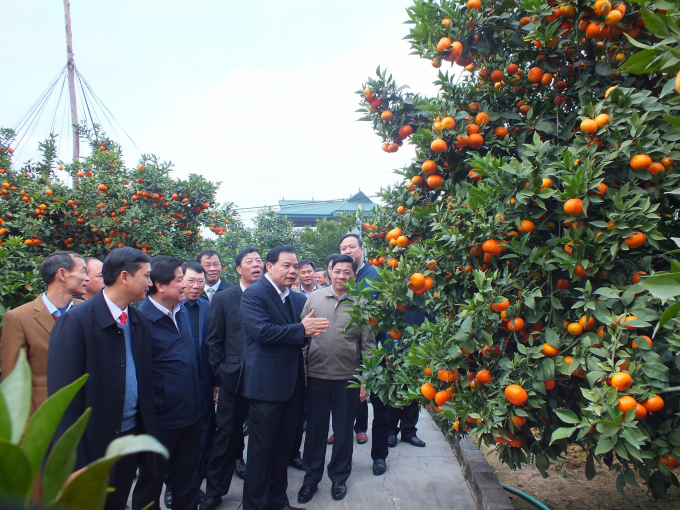 Bộ trưởng Nguyễn Xuân Cường và lãnh đạo Bộ NN-PTNT, lãnh đạo Tỉnh ủy, UBND tỉnh Bắc Giang thăm một vườn cam điển hình tại xã Qúy Sơn (huyện Lục Ngạn), ngày 3/1/2021. Ảnh: Lê Bền.