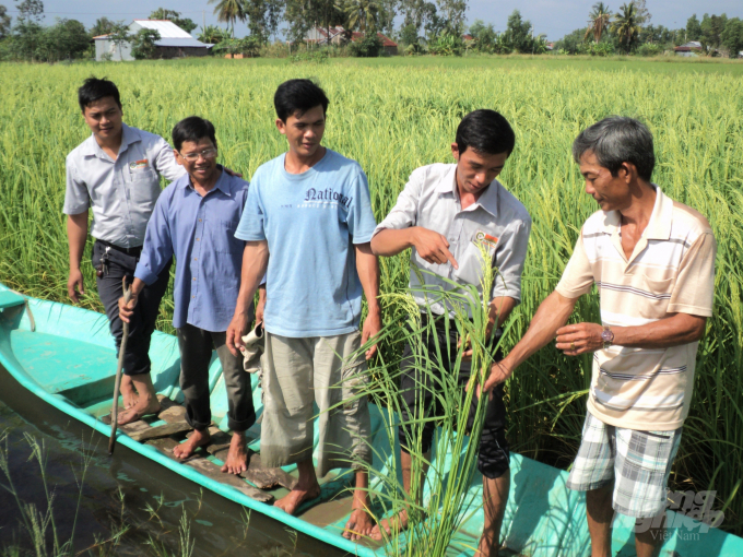 Nuôi tôm quảng canh trên ruộng, luân canh vụ lúa để xử lý chất hữu cơ tồn đọng. Ảnh: Trung Chánh.
