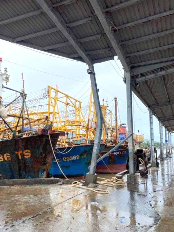 Tàu cá 67 của ngư dân Bình Định hết hạn bảo hiểm không được vươn khơi nằm bờ tại Cảng cá Đề Gi, xã Cát Khánh (huyện Phù Cát, Bình Định). Ảnh: Vũ Đình Thung.