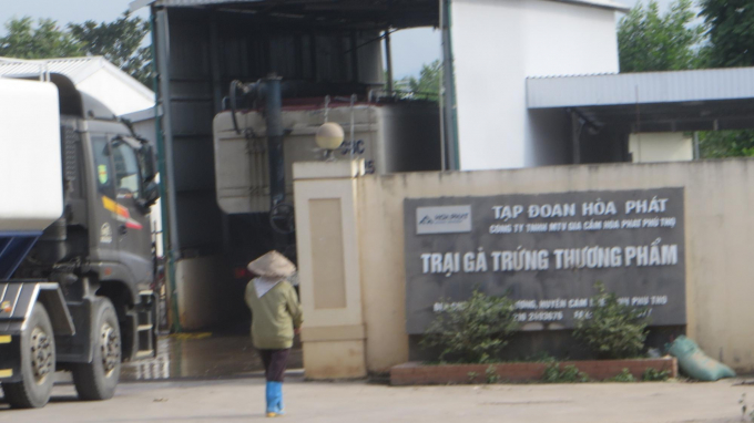Trại gà của Công ty Gia cầm Hòa Phát Phú Thọ gây ảnh hưởng môi trường sống của nhân dân xã Đồng Lương.