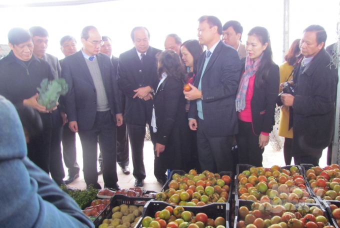 Đồng chí Nguyễn Thiện Nhân về thăm khu nông nghiệp công nghệ cao Hà Nam.