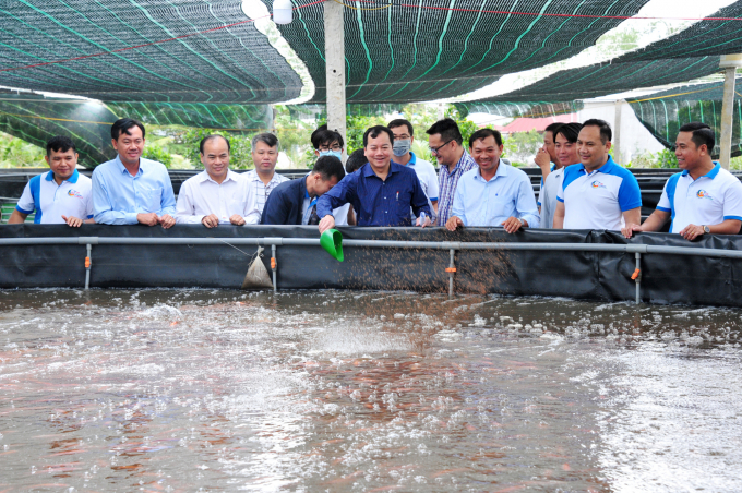Lãnh đạo Tổng cục Thủy sản tham quan mô hình nuôi cá điêu hồng công nghệ cao tại Vĩnh Long. Ảnh: Lê Hoàng Vũ