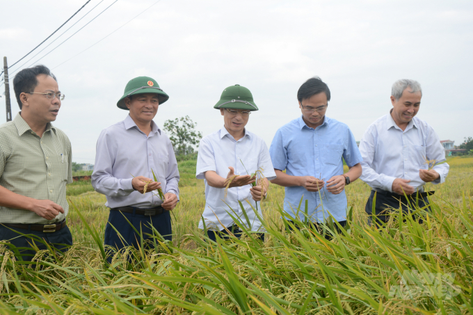 Năm 2020, Nam Định thắng lợi cả 2 vụ sản xuất lúa, với năng suất đạt 60,75 tạ/ha. Trong ảnh, lãnh đạo UBND tỉnh Nam Định, Sở NN-PTNT Nam Định kiểm tra sản xuất vụ lúa mùa. Ảnh: Mai Chiến.