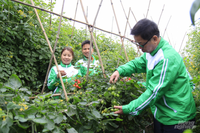 Viện Nghiên cứu cây trồng (thuộc Công ty CP Tập đoàn ThaiBinh Seed) đang đào tạo nâng cao kiến thức cho lao động trẻ. Ảnh: Minh Phúc.