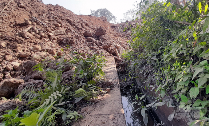 Khoảng 1,2 km kênh mương bị vùi lấp do thi công sửa chữa QL 15 khiến 24 ha đất lúa của người dân thị trấn Ngọc Lặc có nguy cơ thiếu nước tưới. Ảnh: TT.