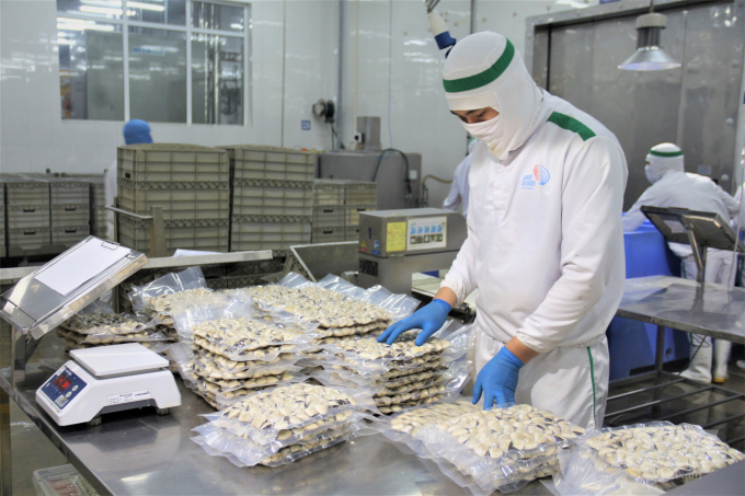 Nhóm sản phẩm nhuyễn thể hiện đứng trong top 5 xuất khẩu thủy sản ở Việt Nam với kim ngạch khoảng 659 triệu USD/năm. Ảnh: Phạm Hiếu.
