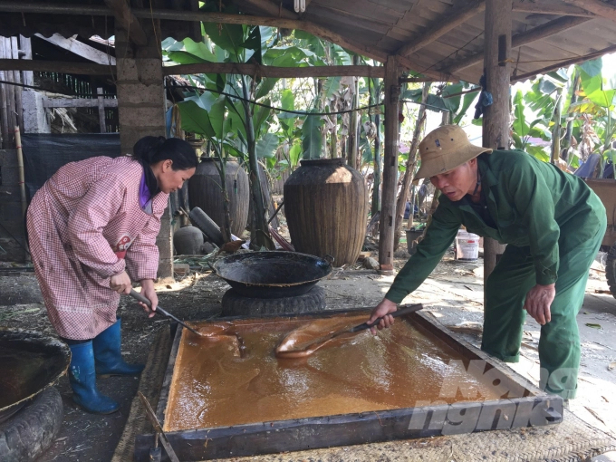 Nghề làm đường phên tại Quảng Hòa, Cao Bằng ngày một khởi sắc nhờ đưa các giống mía mới có năng suất, chất lượng cao vào canh tác. Anhr: Công Hải.