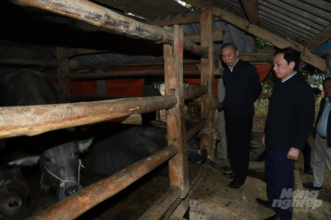 Thứ trưởng Phùng Đức Tiến kiểm tra tình hình phòng chống đói rét cho gia súc tại huyện Vị Xuyên, tỉnh Hà Giang. Ảnh: DT.