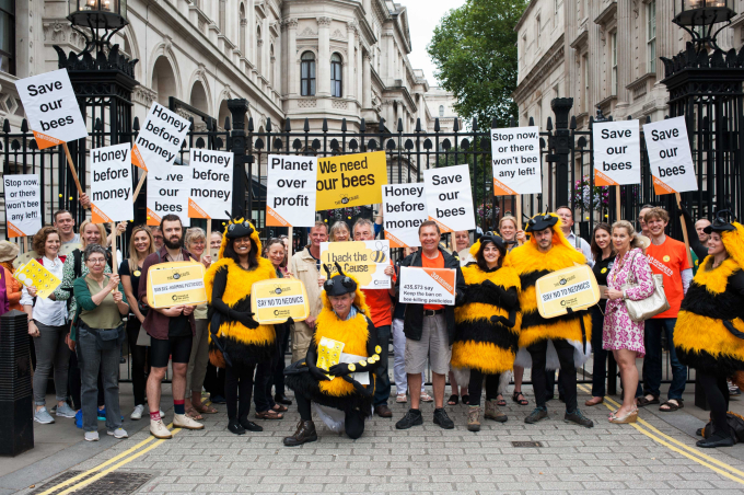 Nhiều tổ chức bảo vệ môi trường xuống đường và thu thập chữ ký phản đối việc dùng thuốc trừ sâu để diệt ong. Ảnh: 38 Degrees 