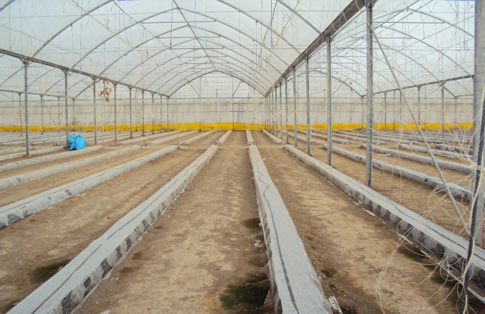 Khu nhà lưới chuẩn bị triển khai trồng dưa lưới vụ mới tại Khu CNC An Thái. Ảnh: Phan Bằng