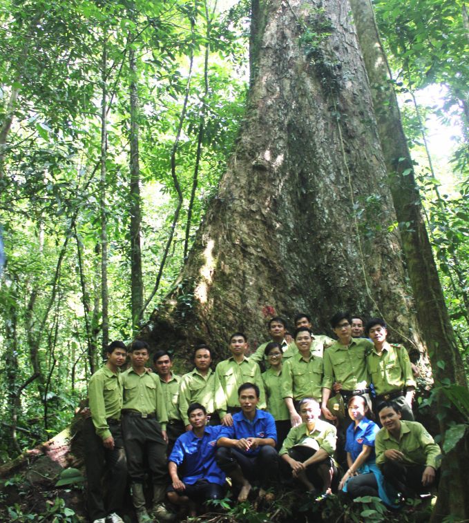 Công tác quản lý, bảo vệ, phát triển rừng của Nghệ An những năm qua đã đạt được kết quả tốt. Ảnh: Việt Khánh.