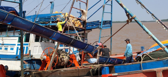 Từ năm 2015 đến nay, tỉnh Sóc Trăng không có tàu cá nào vi phạm khai thác vùng biển nước ngoài. Ảnh Trọng Linh.