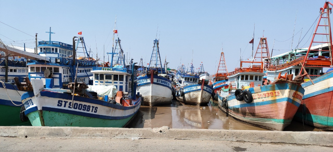 Các tàu cá neo đậu tại cảng biển Trần Đề. Ảnh: Trọng Linh.