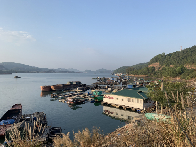 Đây là lần thứ 3 trong năm, người dân và cơ sở nuôi trồng thủy sản ở Quảng Ninh cần sự chung tay, hỗ trợ tiêu thụ sản lượng. Ảnh: Anh Thắng.