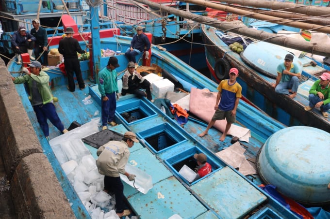 Các tàu cá Khánh Hòa tiếp nguyên vật liệu để bám biển xuyên Tết. Ảnh: KS.