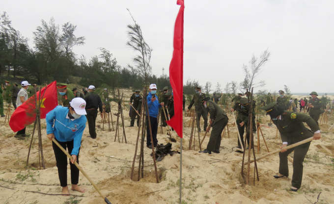 Các lực lượng tham gia lễ phát động trồng phi lao trên bờ biển. Ảnh: N. Tâm