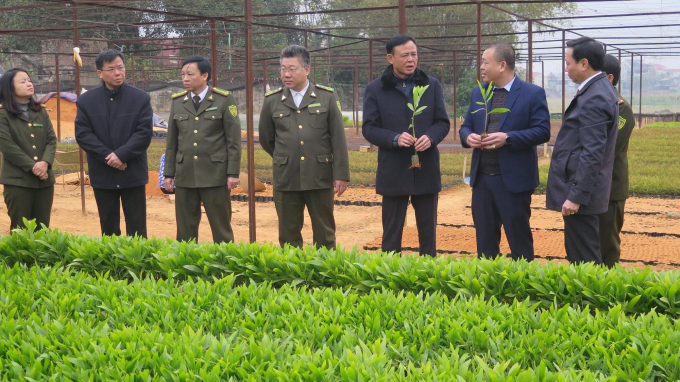 Thứ trưởng Thường trực Bộ NN-PTNT Hà Công Tuấn thăm và kiểm tra các cơ sở, vườn ươm cây giống lâm nghiệp tại Thái Nguyên. Ảnh: Đ.V.T.