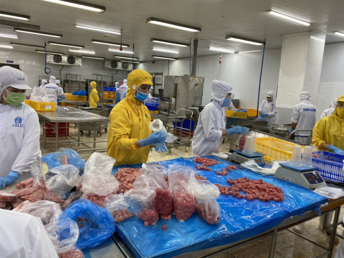 Hiện nay xuất khẩu cá ngừ Việt Nam sang hơn 100 nước trên thế giới. Ảnh: BQ.