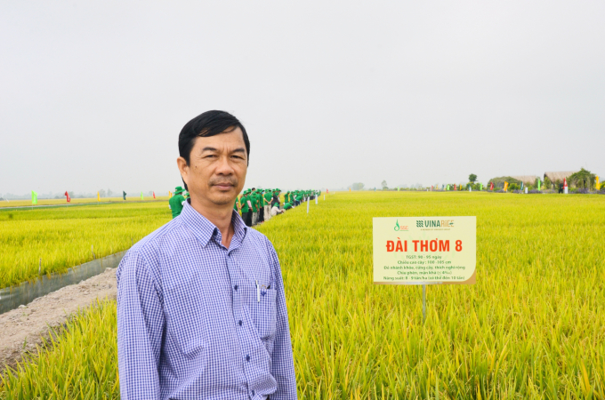 Ông Bùi Quang Sơn, Tổng Giám đốc Vinarice khuyến cáo bà con nông dân vùng rủi ro xâm nhập mặn chọn giống lúa Đài Thơm 8. Ảnh: Minh Đảm.