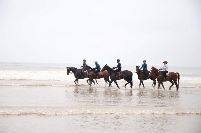 CLB cưỡi ngựa thể thao Nghi Xuân là 'trường đua'  ngựa đầu tiên được thành lập, đi vào hoạt động ở Hà Tĩnh.