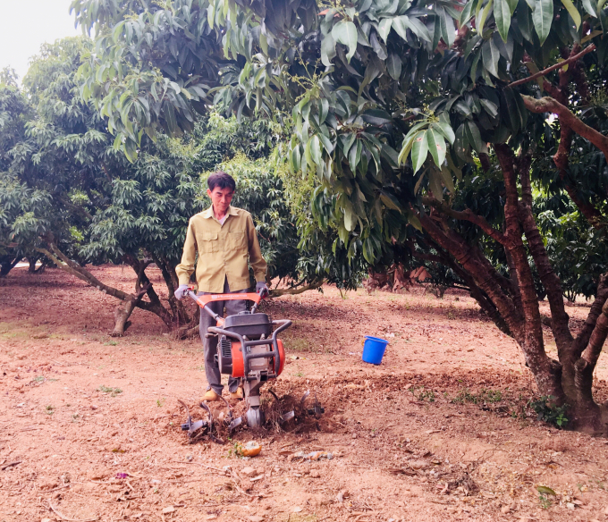 Nông dân đánh giá, đây là năm vải thiều ở Lục Ngạn ra hoa đạt tỉ lệ cao, hứa hẹn được mùa. Ảnh: Quỳnh Nga