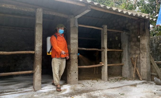 Người dân phường Hải Lĩnh (Thị xã Nghi Sơn) thực hiện nghiêm túc việc phun tiêu độc khử trùng khu vực chuồng trại và các quy định về phòng chống dịch. Ảnh: Võ Dũng.