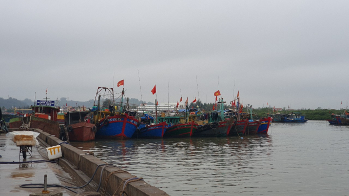Cảng cá Ngọc Hải là một trong những cảng cá có đủ hệ thống xác nhận nguồn gốc thủy sản từ khai thác. Ảnh: Đinh Tùng.