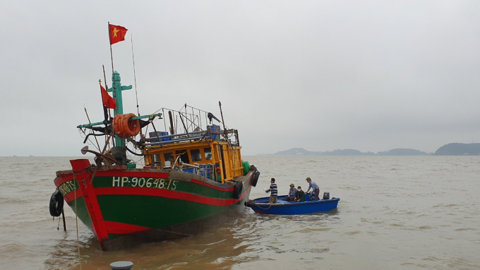 Lực lượng chức năng kiểm tra 1 tàu khai thác thủy sản tại cảng cá Ngọc Hải. Ảnh: Đinh Tùng.