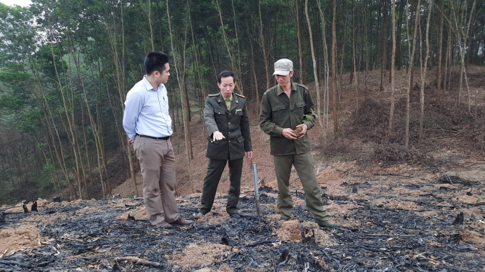 Các đơn vị ngành lâm nghiệp huyện Lục Yên kiểm tra, đôn đốc công tác trồng rừng vụ xuân 2021. Ảnh: Khắc Điệp