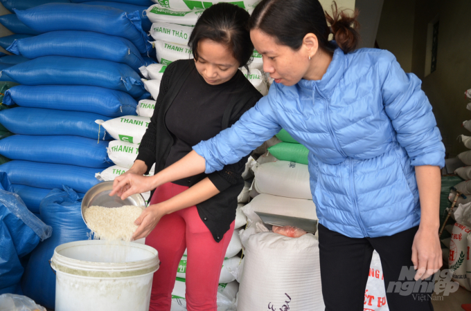 Chị Phượng (bên phải) đi kiểm tra gạo tại một cửa hàng. Ảnh: Dương Đình Tường.