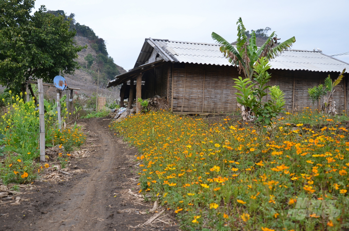 Căn lều đơn sơ nhưng trồng đầy hoa ven hồ Nong La của ông Cho. Ảnh: Dương Đình Tường.