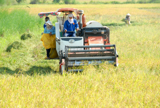 Nông nghiệp An Giang hướng đến nâng cao giá trị và phát triển bền vững. Ảnh: Lê Hoàng Vũ.