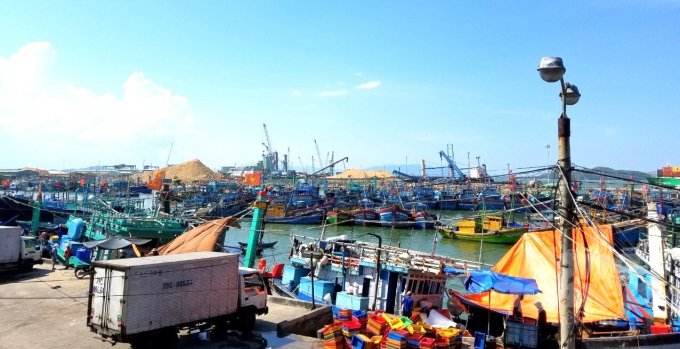Cảng cá Quy Nhơn trở nên chật chội khi tàu cá của ngư dân Bình Định đồng loạt cập bờ. Ảnh: Vũ Đình Thung.