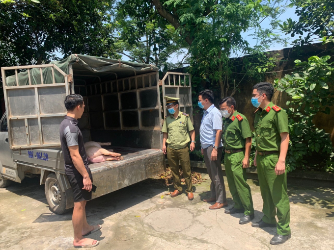 Cơ quan liên ngành tỉnh Bắc Giang bắt quả tang vụ vận chuyển lợn chết mang đi tiêu thụ. Ảnh minh họa: DMS.