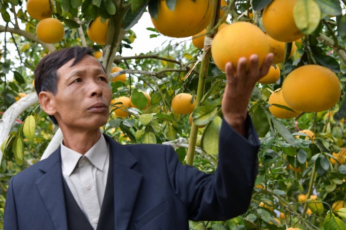 Nông nghiệp Việt Nam đang đứng trước yêu cầu không chỉ năng suất, mà còn cải thiện chất lượng, an toàn thực phẩm. Ảnh: Lê Bền