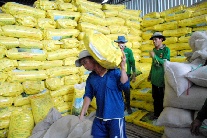 Nhiều năm qua lúa giống của DOSECO được nông dân đánh giá cao về chất lượng. Ảnh: Lê Hoàng Vũ.