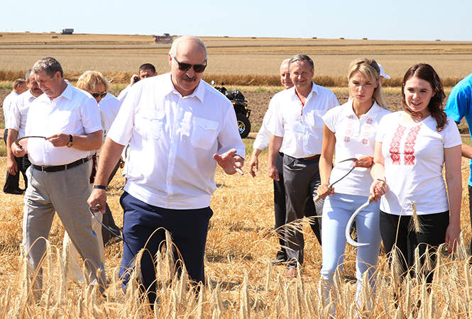 Ông Lukashenko hướng dẫn các nhà báo nữ cách cầm liềm cắt lúa mì trên đồng ruộng. Ảnh: Newstut