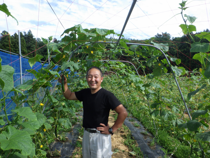 Anh Ishii, nông dân ở thành phố Sukagawa, cách nhà máy hạt nhân 40km bên vườn dưa chuột áp dụng công nghệ EM. Ảnh: emrojapan
