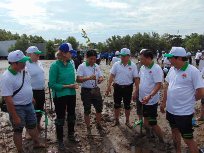 Theo GS.TS Lê Đình Khả, rừng ngập mặn ven biển là một trong những khu vực cần được ưu tiên phát triển trong quá trình triển khai chương trình 1 tỉ cây xanh. Ảnh: TL