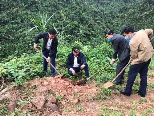 Cán bộ, nhân viên Vườn quốc gia Phong Nha - Kẻ Bàng phát động trồng cây xanh hưởng ứng chương trình của Thủ tướng Chính phủ. Ảnh: TH