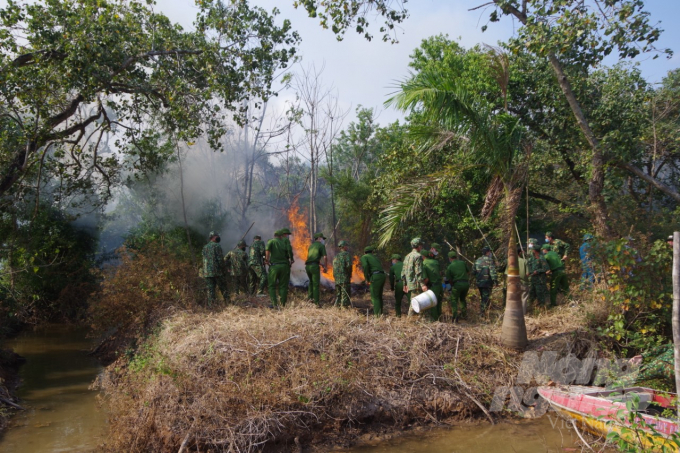 Cà Mau đã sẵn sàng các phương án ứng phó nguy cơ cháy rừng trong mùa khô 2021. Ảnh: TL