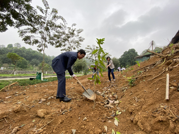Nhiều tổ chức, cá nhân, doanh nghiệp đã tham gia hưởng ứng tích cực Đề án trồng 1 tỷ cây xanh do Thủ tướng Chính phủ phát động. Ảnh: Nguyên Huân.