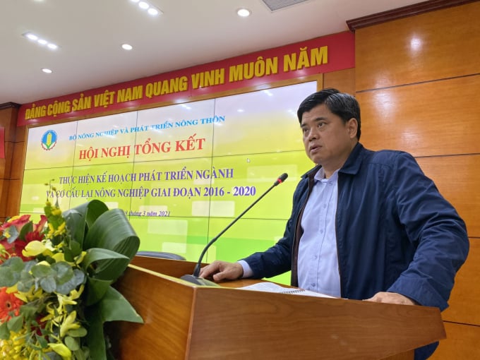 Thứ trưởng Bộ NN-PTNT Trần Thanh Nam. Ảnh: Nguyên Huân.