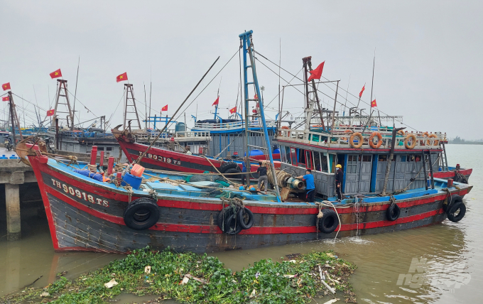 Những chiếc thuyền nằm chờ thủy triều lên để ra khơi tại cảng cá Hòa Lộc. Ảnh: Võ Dũng.
