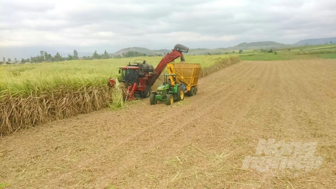 Để giảm chi phí đầu vào trong sản xuất mía để nông dân có lãi nhiều hơn, không con đường nào khác là phải cơ giới hóa đồng bộ từ khâu trồng đến khâu thu hoạch. Ảnh: Vũ Đình Thung.