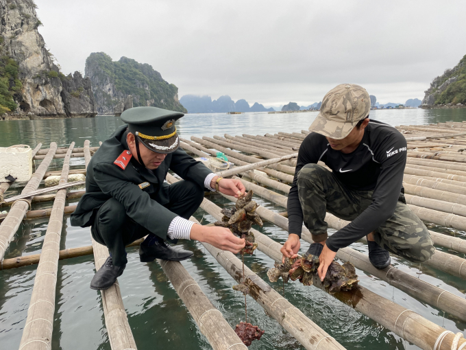 Cán bộ Chi cục Thủy sản (Sở NN-PTNT tỉnh Quảng Ninh) hướng dẫn ngư dân chuyển đổi nghề nuôi trồng thủy sản. Ảnh: Đinh Tùng.